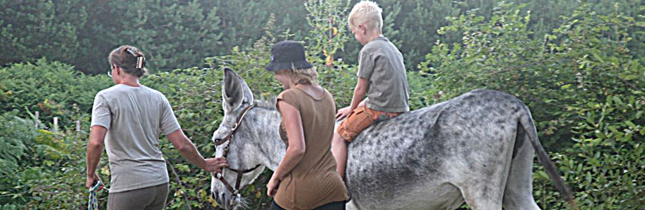 Highway